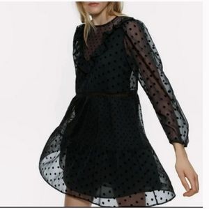 Zara Swiss dot sheer mini dress